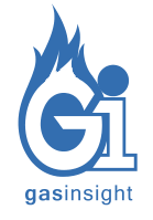 Gasinsight